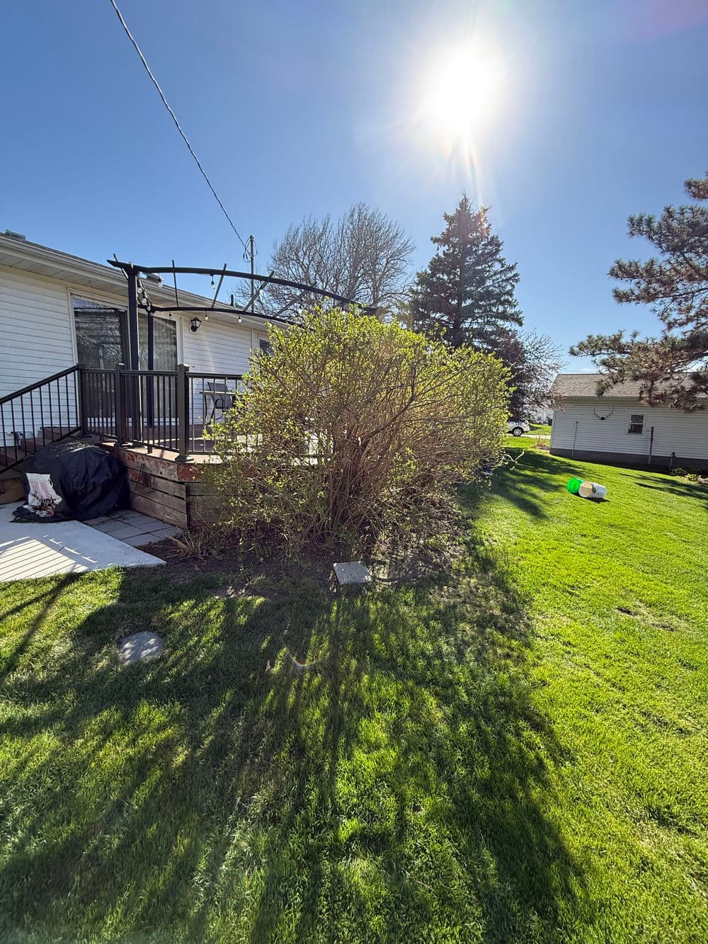 Sunny backyard with green grass, a shrub, and a deck under a clear blue sky.